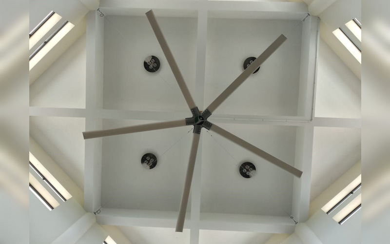 HVLS Fan For Agriculture In Middle East