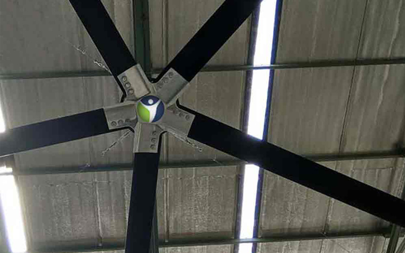 Large Ceiling Fan